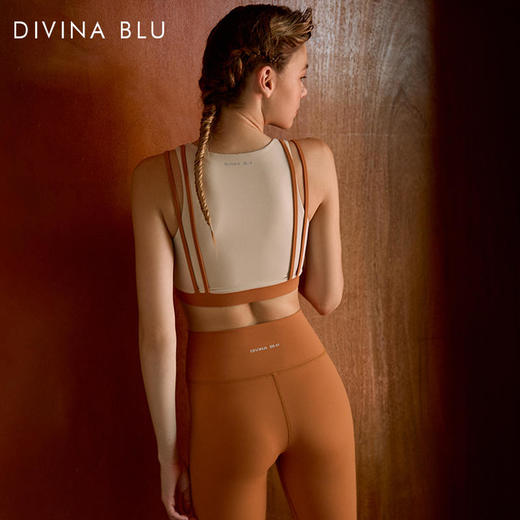 DIVINABLU维也纳系列迪唯纳筑梦文胸47 商品图4