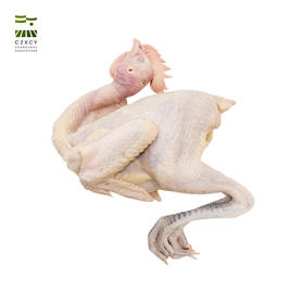 奔牛沈小亚农场 童子鸡 净重1.5-1.8斤左右