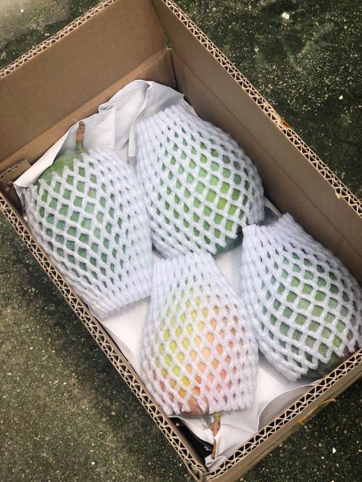 攀枝花凯特芒果 商品图2