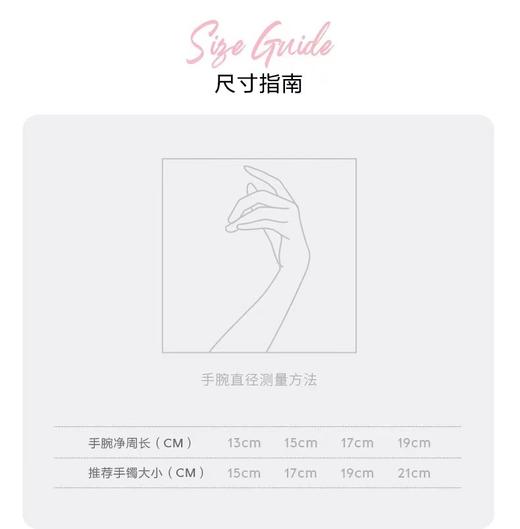 Pandora潘多拉闪耀星河手链ZT1005 商品图3