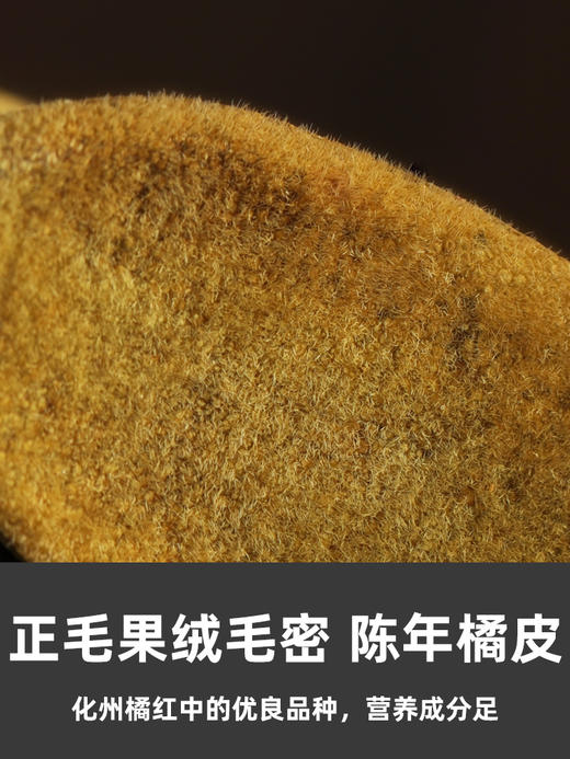 橘源堂化州橘红陈一品橘红皮10包 1盒 商品图2