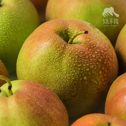 生态玉露香梨 | 合作生产 *Eco-Jade dew pear | Coproduction 商品图4