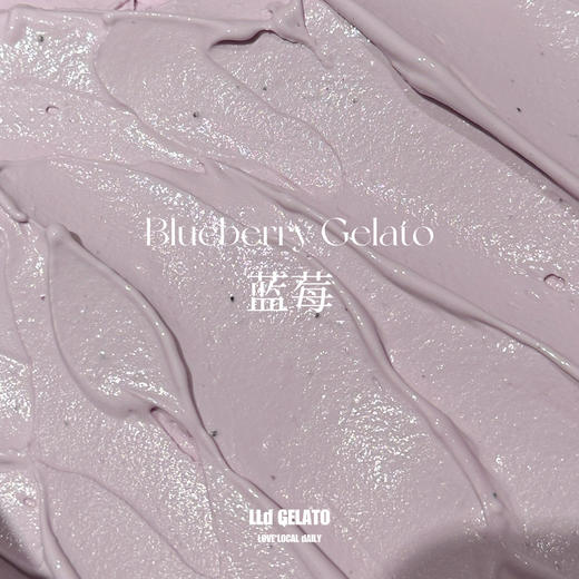 蓝莓 Gelato冰淇淋 商品图0