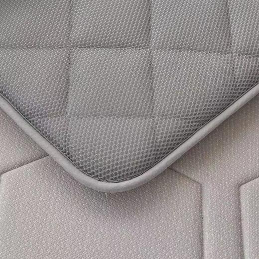 利路米新款免晒不闷垫高中 大学生竹炭乳胶清新厚床垫 厚度约6CM 商品图3