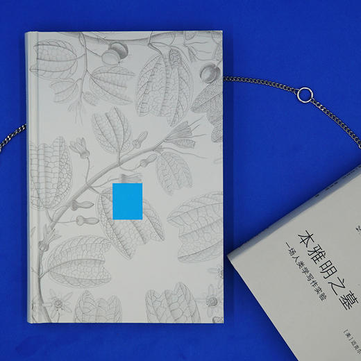 本雅明之墓：一场人类学写作实验 迈克尔·陶西格 北京大学出版社 商品图2