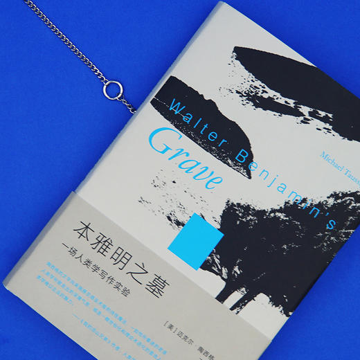 本雅明之墓：一场人类学写作实验 迈克尔·陶西格 北京大学出版社 商品图3