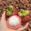 【当季必吃】8.8元每斤 泰国山竹4A（3斤起售） 商品缩略图3