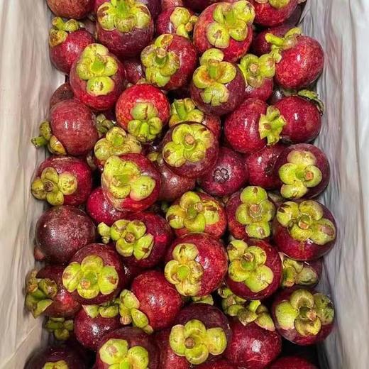 【当季必吃】8.8元每斤 泰国山竹4A（3斤起售） 商品图1