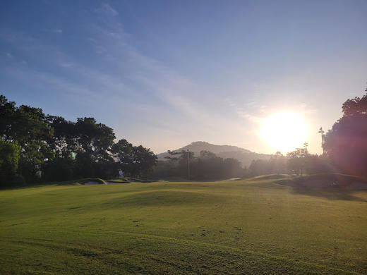 越南戴丽星高尔夫乡村俱乐部 Dai Lai Star Golf & Country Club | 越南高尔夫球场  | 河内高尔夫 商品图3