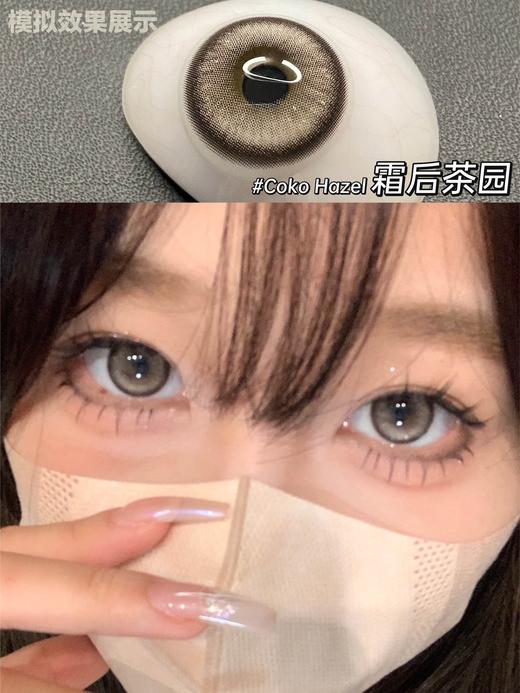 Doragina 年抛美瞳 霜后花园 直径14.5mm着色13.8mm 商品图12