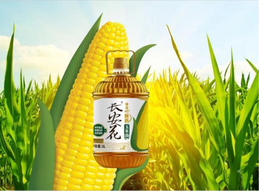 长安花黄金45°鲜胚玉米油5L非转基因一级压榨烘培食用油 商品图0
