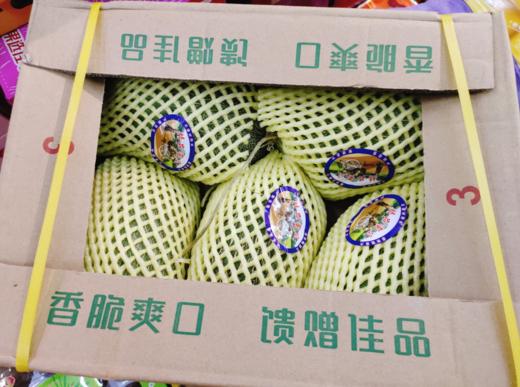 金色年华哈密瓜一箱 商品图1