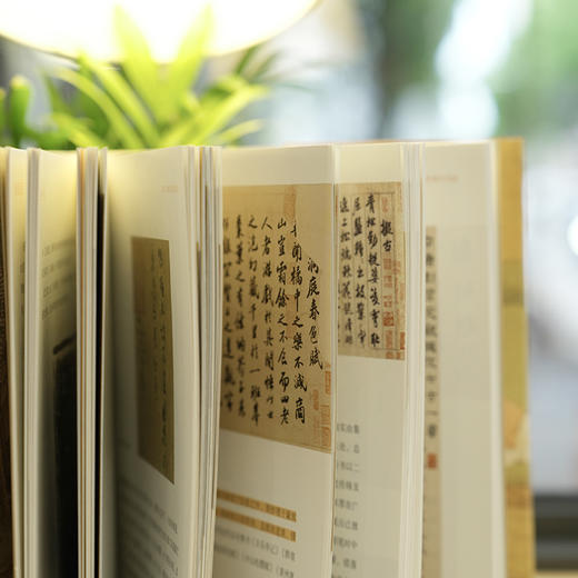 《汉字书法五千年》 一部极简中国书法史 商品图4