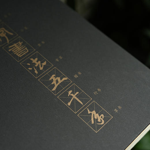 《汉字书法五千年》 一部极简中国书法史 商品图3
