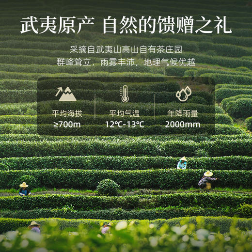 华祥苑-250g迎宾庄园茶大红袍 商品图4