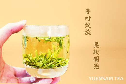 西湖龙井绿茶2024年裸茶及礼盒如需订制请联系客服 商品图3