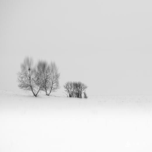 【1月坝上】雪原唯美艺术摄影创作训练营 商品图0