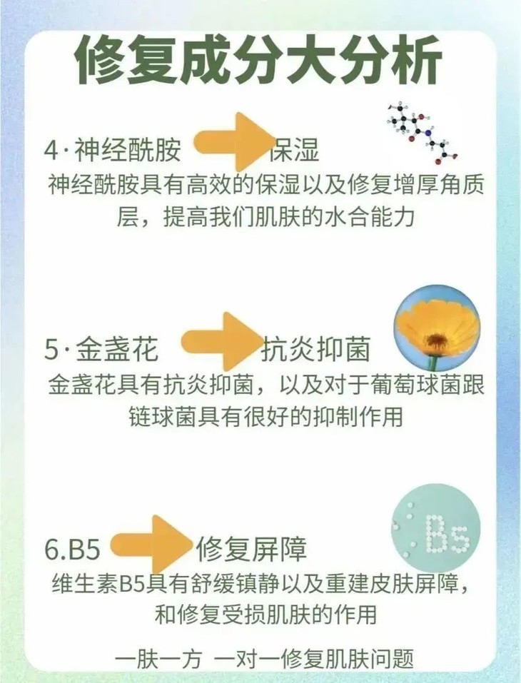 img_v2_ab36d163-ca58-41f0-a825-9918c44fd5fg.jpg 图片