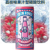 华洋1982汽水330ml（多口味） 商品缩略图4