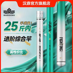 汉鼎战二代进阶综合竿