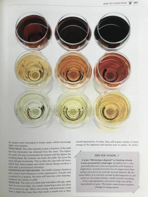 拉鲁斯世界红酒图鉴 数百幅彩色插图 精装大16开 商品图8