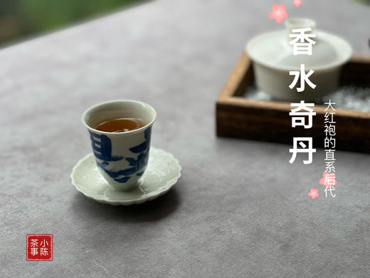 【好茶来了】一款被称为《香水》的老树奇丹，颠覆你对奇丹的认知 商品图12