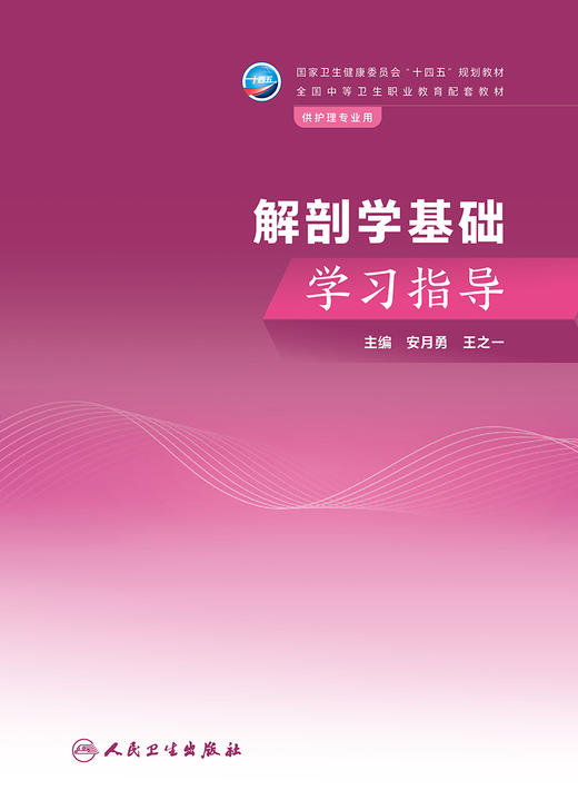 解剖学基础学习指导 2023年8月配套教材 9787117351287 商品图1