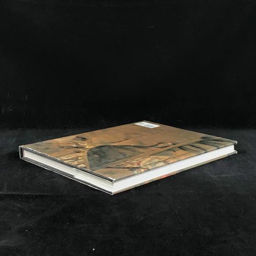 现代绘画的诞生 约200幅插图 精装大16开 商品图2