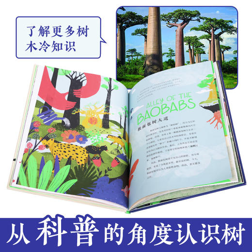 【神奇麻麻】乐乐趣-大树都知道  22棵树和他们的故事 商品图2