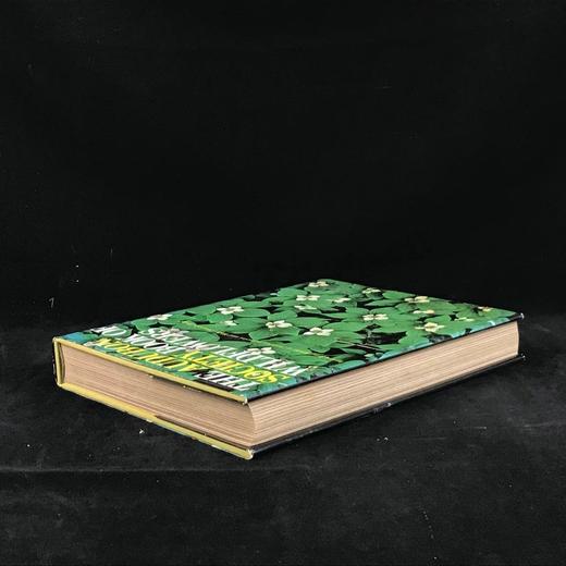 奥杜邦协会野花之书 数百幅彩色插图 精装大16开 商品图2