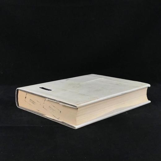 詹森艺术史（1969） 千余幅插图 精装厚重大16开 商品图2