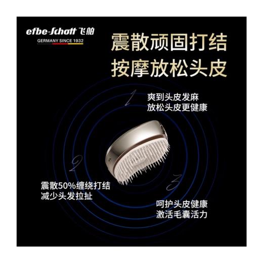 飞舶efbe-schott 精油雾养护发顺发梳[福利品] 商品图1