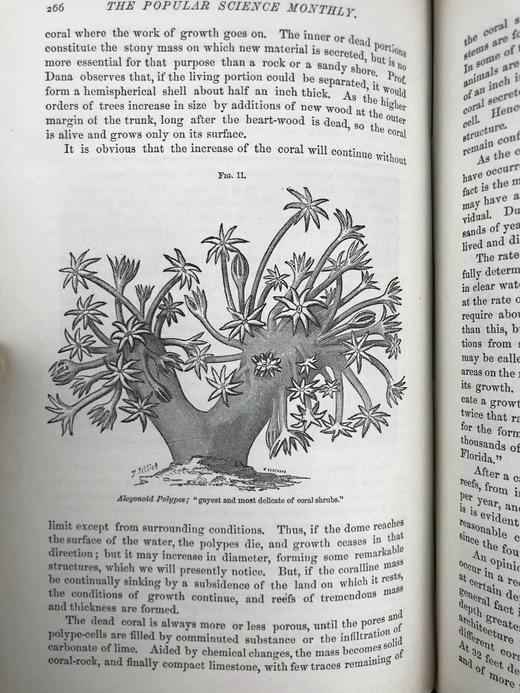 1872年5月-10月 大众科学月刊 数十幅版画插图 真皮精装18开 商品图10