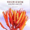 福东海 红花100g 精选草红花干货原料 泡水泡茶泡酒 商品缩略图3