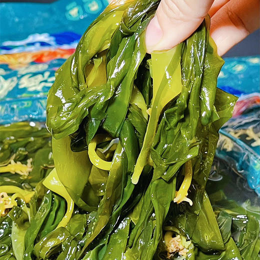 东山岛海带苗 400g/袋 鲜采嫩苗 口感脆爽 商品图3