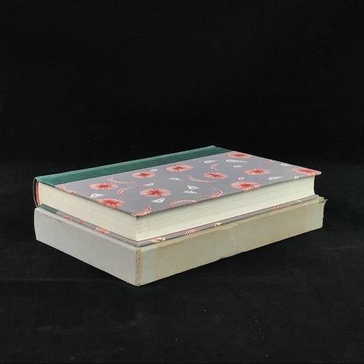 斯威夫特《格列佛游记》（1965） 16幅彩色插图 精装18开带书匣 商品图1