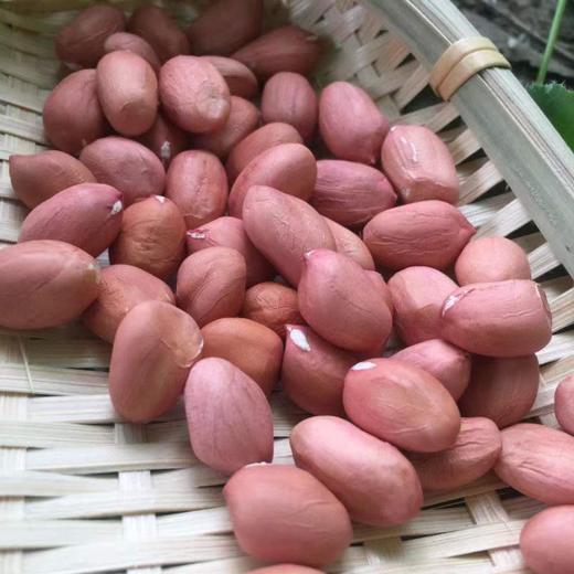 农家自种新鲜花生2.5kg 商品图1