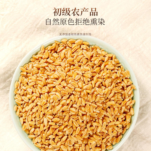 福东海 浮小麦500g 泡水煮水浮小麦干货 上浮率高 精选浮小麦茶原材料 商品图5