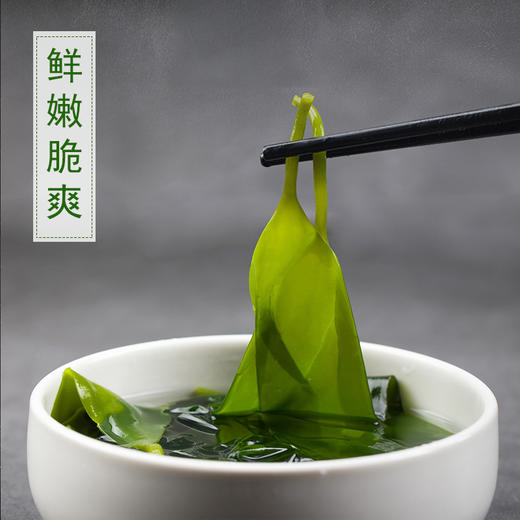 东山岛海带苗 400g/袋 鲜采嫩苗 口感脆爽 商品图0