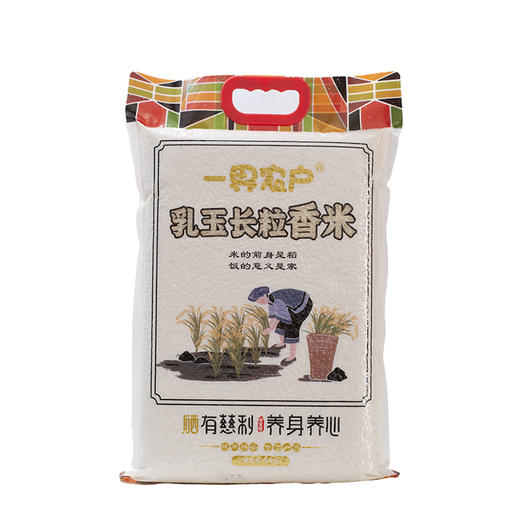 一界农户乳玉香长粒香米5kg 商品图0