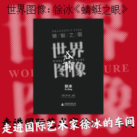 世界图像：徐冰《蜻蜓之眼》  广西师范大学出版社