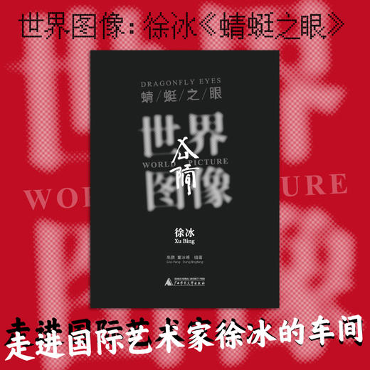 世界图像：徐冰《蜻蜓之眼》  广西师范大学出版社 商品图0