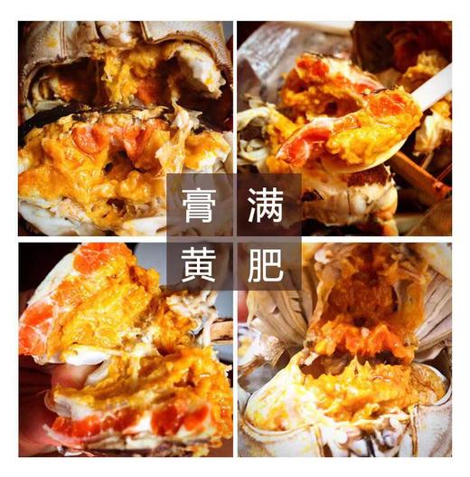 [金秋蟹礼3对装/4对装]蟹荣记阳澄湖大闸蟹礼品卡券  998型 A-463 A-464 商品图1