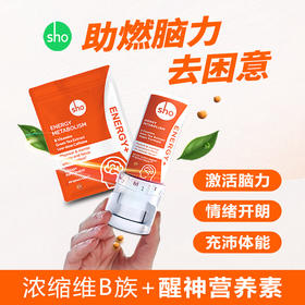 sho元气丸进口维生素B族+醒神营养神经学习备考加班熬夜疲劳犯困胶囊