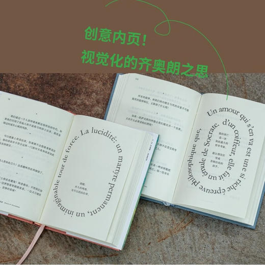 供词与放逐 E.M.齐奥朗 著 哲学 商品图2