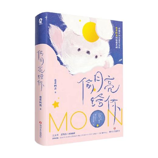 偷月亮给你 患者阿离 著 青春文学 商品图4