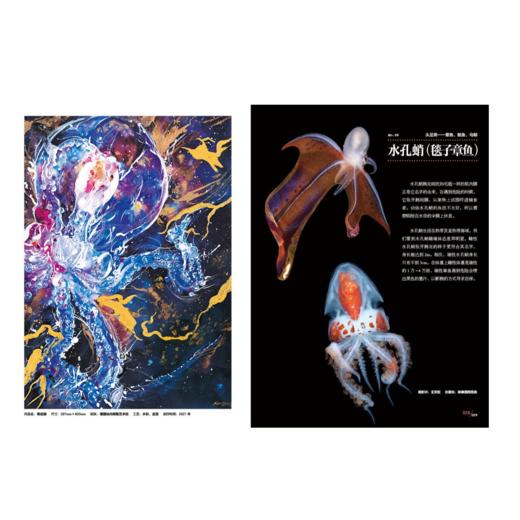 （5折包邮）眼界之外:海洋 一探瑰丽的海底世界超越眼界之外海底世界旅行科技 商品图1