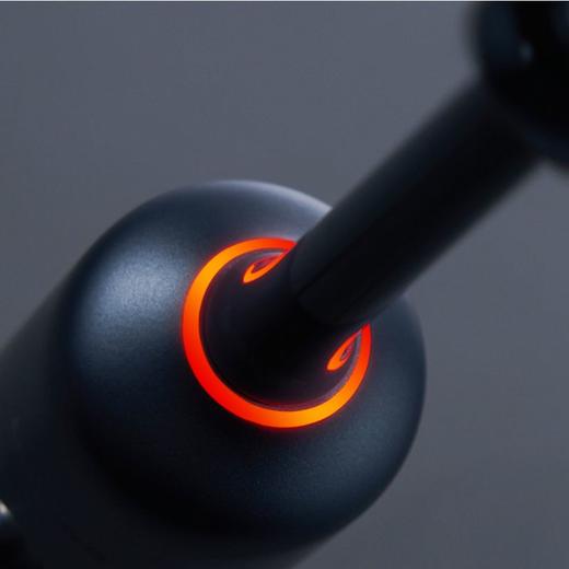 力博得声波牙刷 大洁力 商品图5