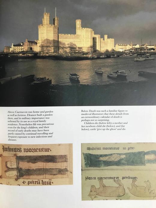 四位哥特国王：英格兰中世纪动荡史 约300幅插图 精装大16开 商品图14