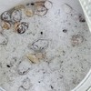 颖见十养藕粉羹|任意水温冲调营养丰富，莲藕能使人体肌肤保持光泽，促进新陈代谢，防止皮肤干燥，在夏天食用，尤为合适，用莲藕制作而成的藕粉，喝起来更是清润回甘 商品缩略图1